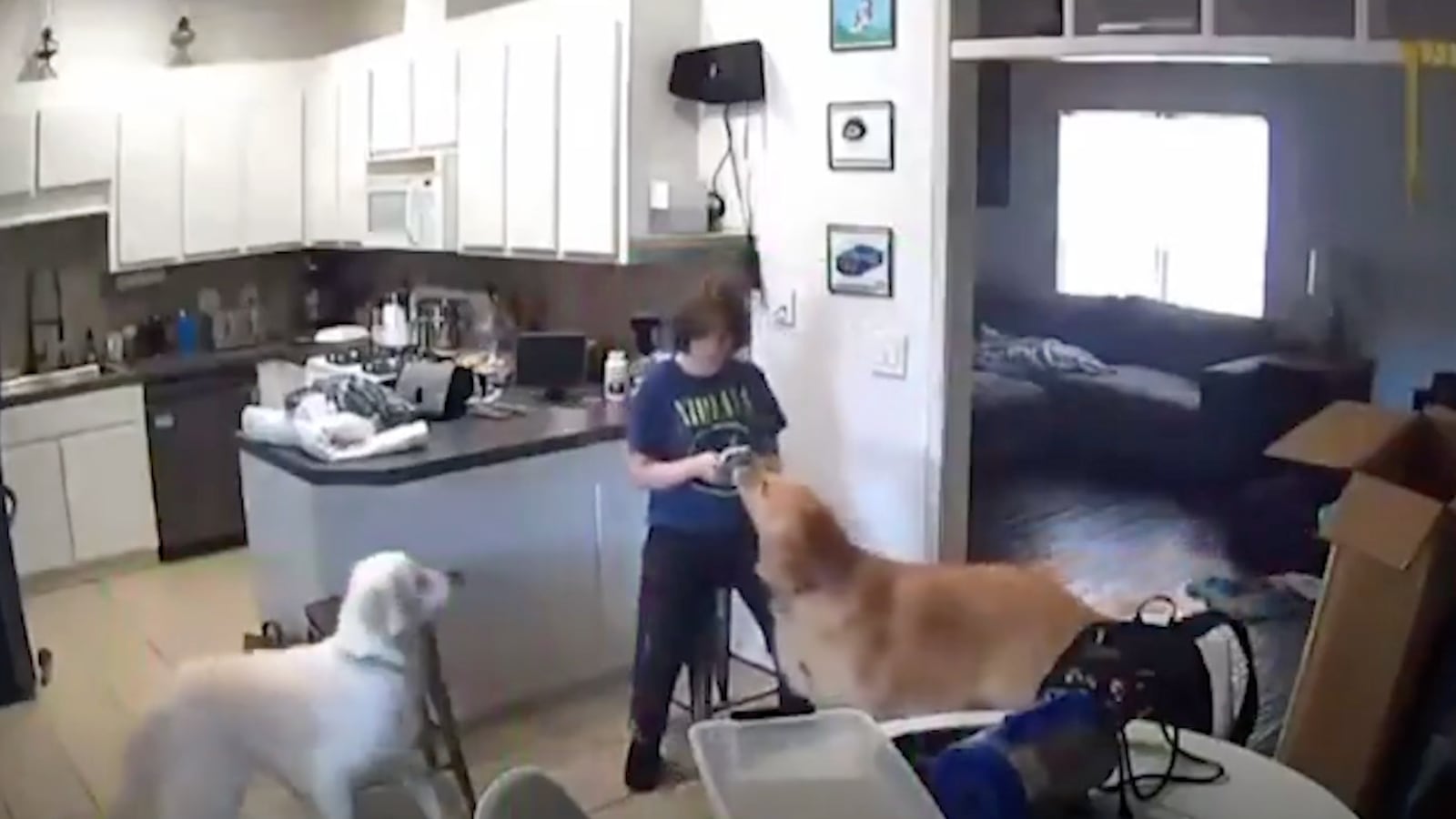 Home surveillance footage of Carly Gregg soon after killing her mother.