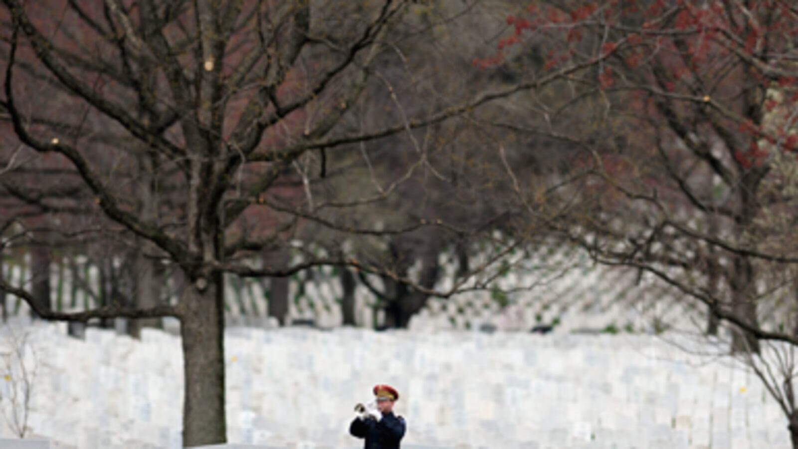 articles/2011/05/29/memorial-day-how-the-iraq-generation-is-making-it-a-younger-holiday/chennelly-memorial-day_183639_mmcpox