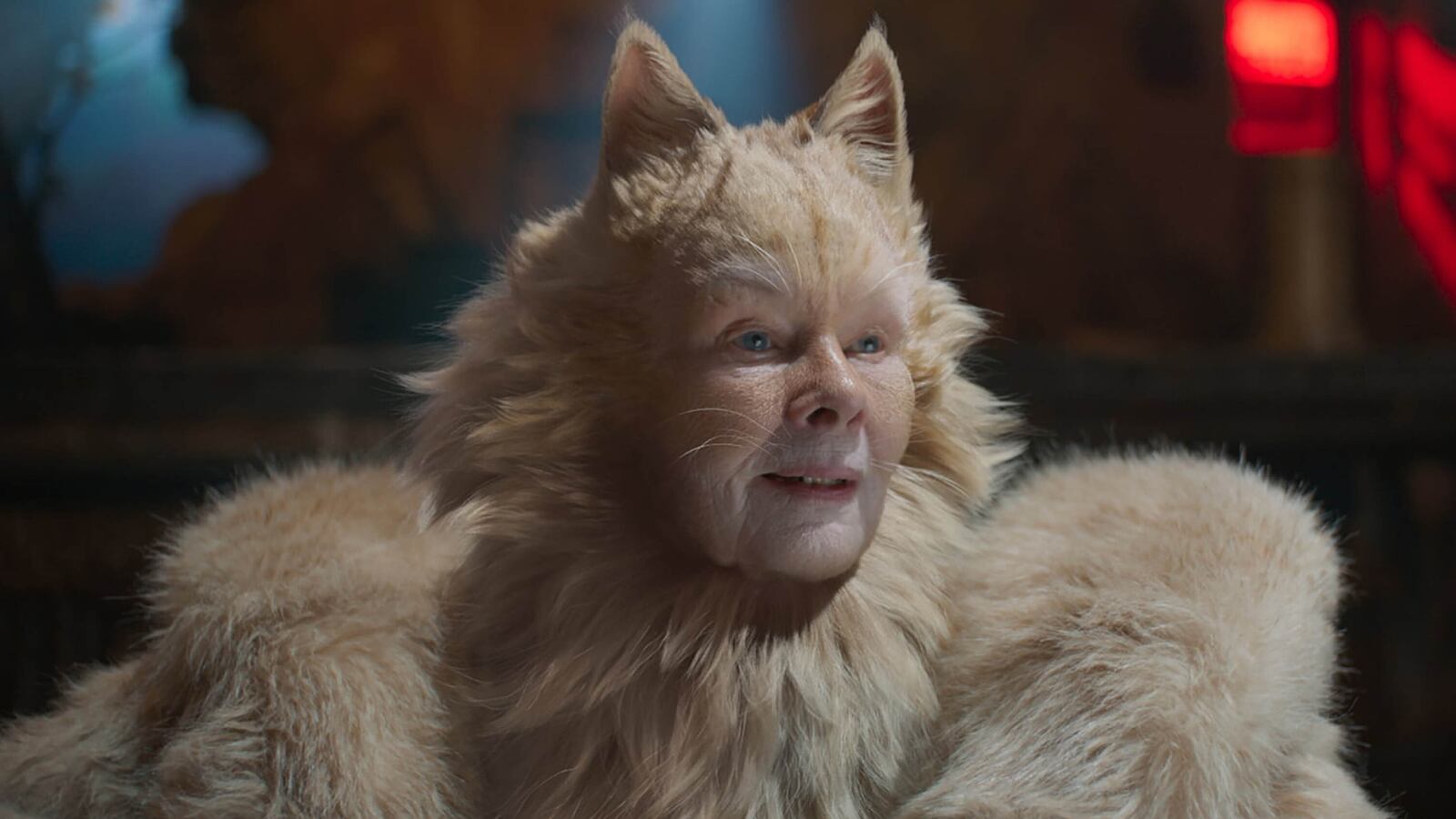 200505-cats-tease_oe89bc