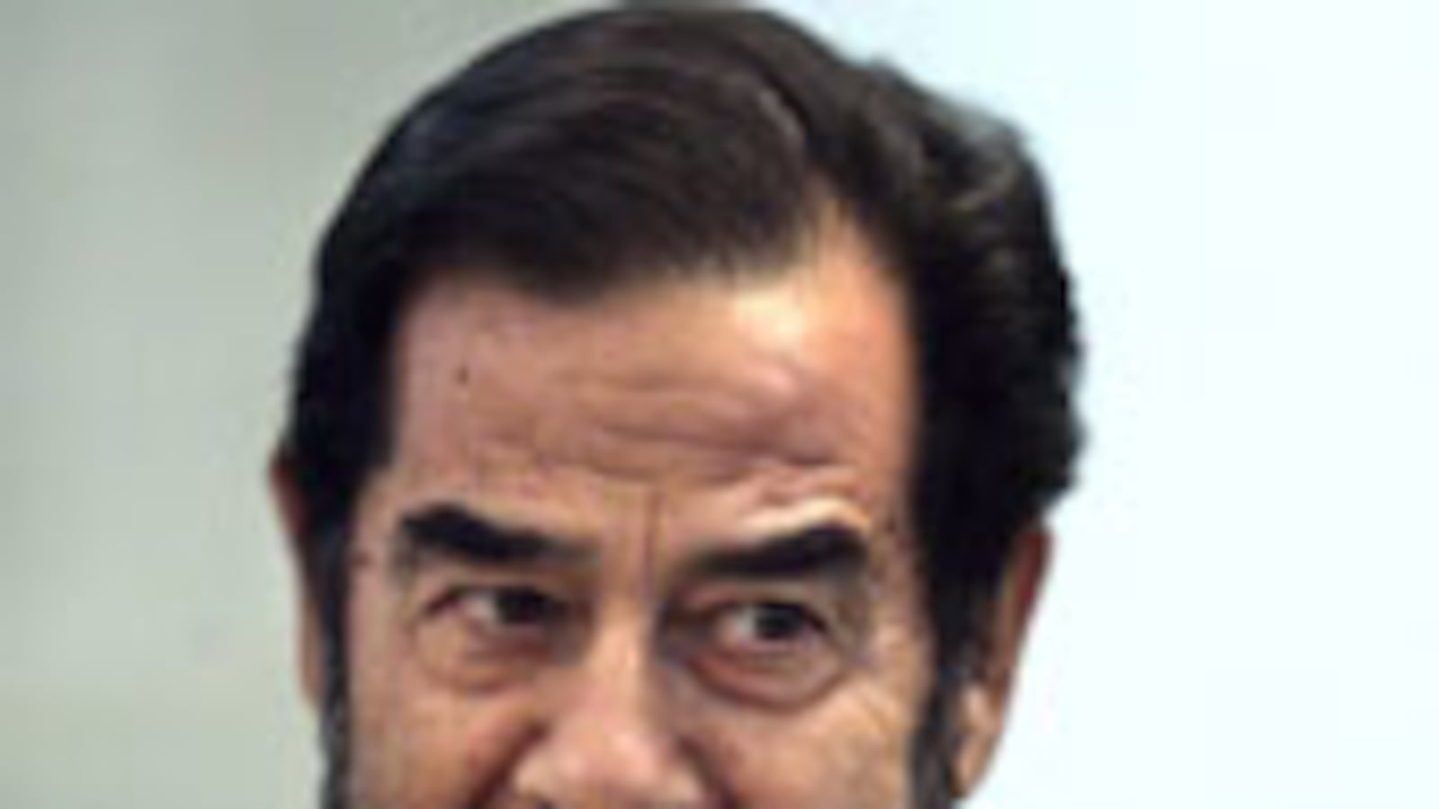 articles/2009/12/13/a-sleepover-with-saddam/saddam-surgeon_69059_bjirxt