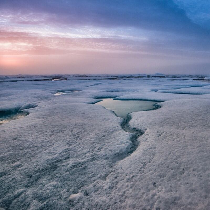 galleries/2015/03/22/beast-instagammer-of-the-week-andy-mann/150320-instagrammer-mann10_yrpfyq