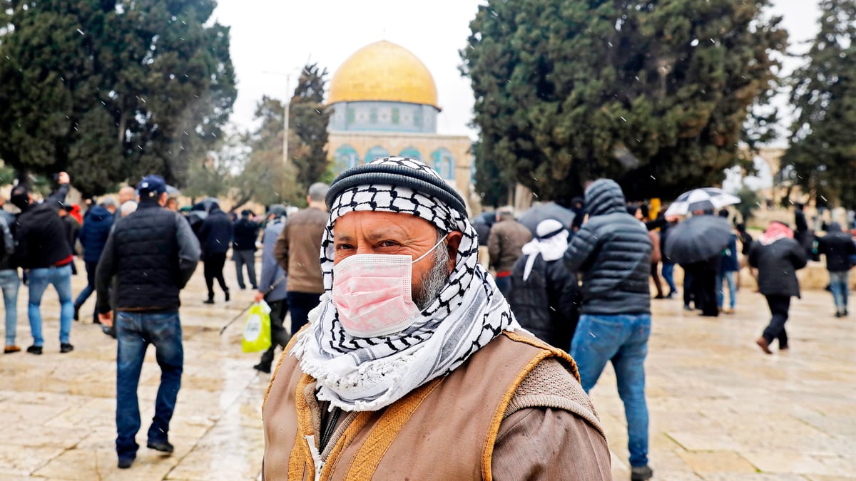 200306-stein-coronavirus-tease_cvthu9