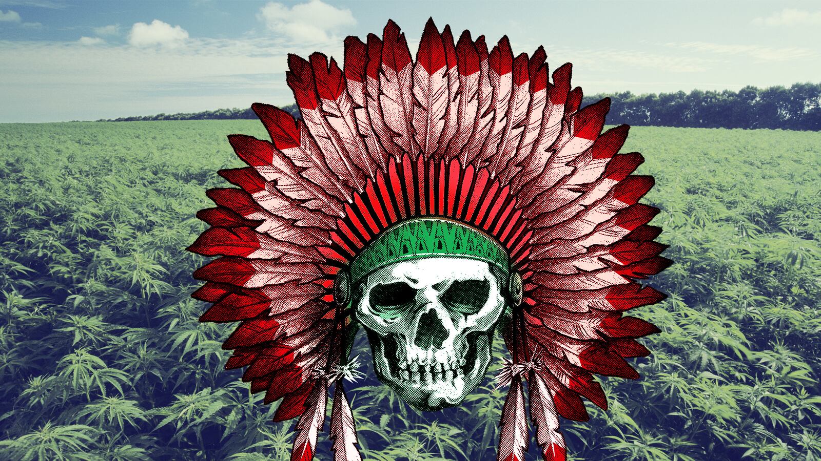 articles/2014/12/13/tribes-to-u-s-government-take-your-weed-and-shove-it/141211-haglage-weed-natives-tease_ymdzew
