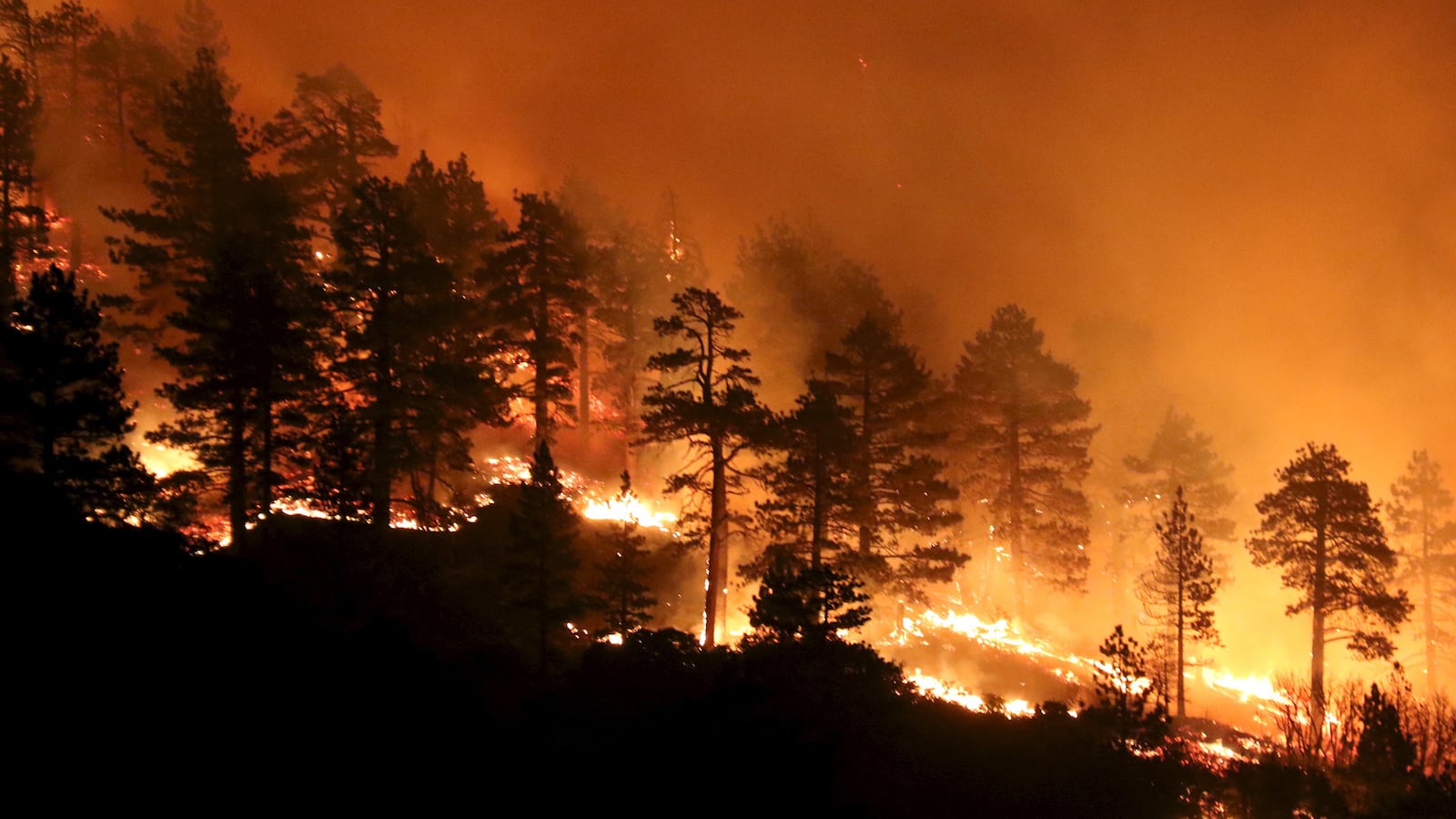 cheats/2015/08/17/homeless-man-arrested-for-200-acre-fire/150817-wildfire-arrest-cheat_d7shj6