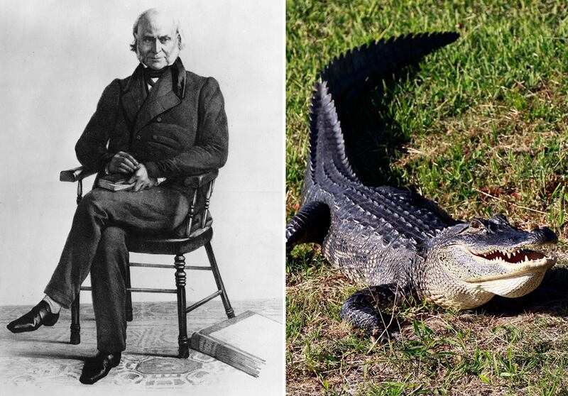 galleries/2011/06/16/weirdest-celebrity-pets/john-q-adams_hdtzba