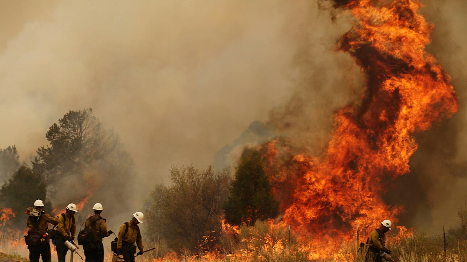 cheats/2011/06/14/firefighters-get-upper-hand-in-az/arizona-fires-sterling_ty3nfw