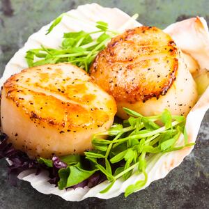 180704-rothbaum-scallops-tease_f04frm