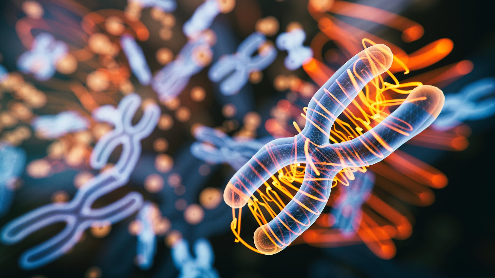 GettyImages-1358641846-2_o0g0gg