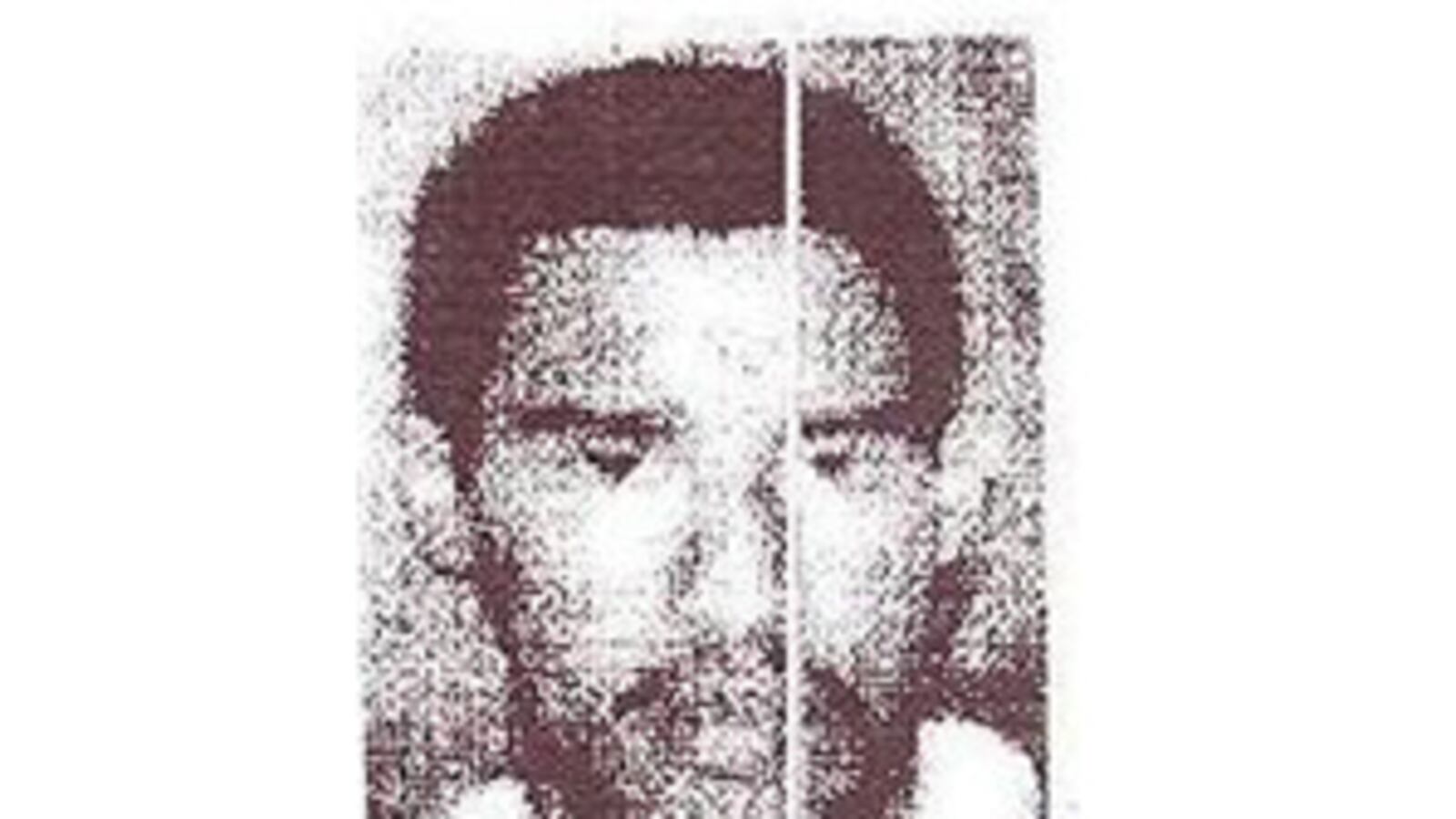 cheats/2011/09/05/pakistan-nabs-top-al-qaeda-leader/younis-al-mauritani-cheat_fp5gaz