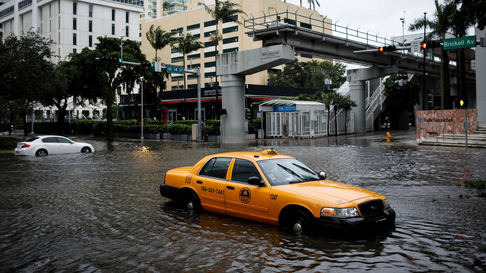 2020-11-10T005054Z_1857090347_RC2PZJ9QHGFB_RTRMADP_3_STORM-ETA-FLORIDA_w8dasm