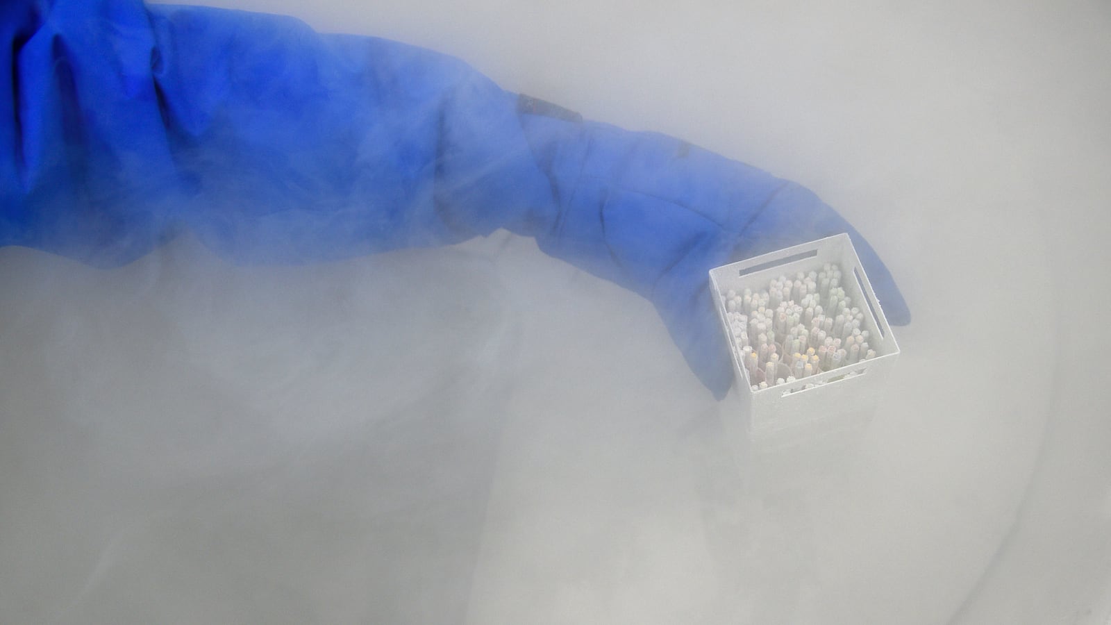 GettyImages-540259510_xaicde