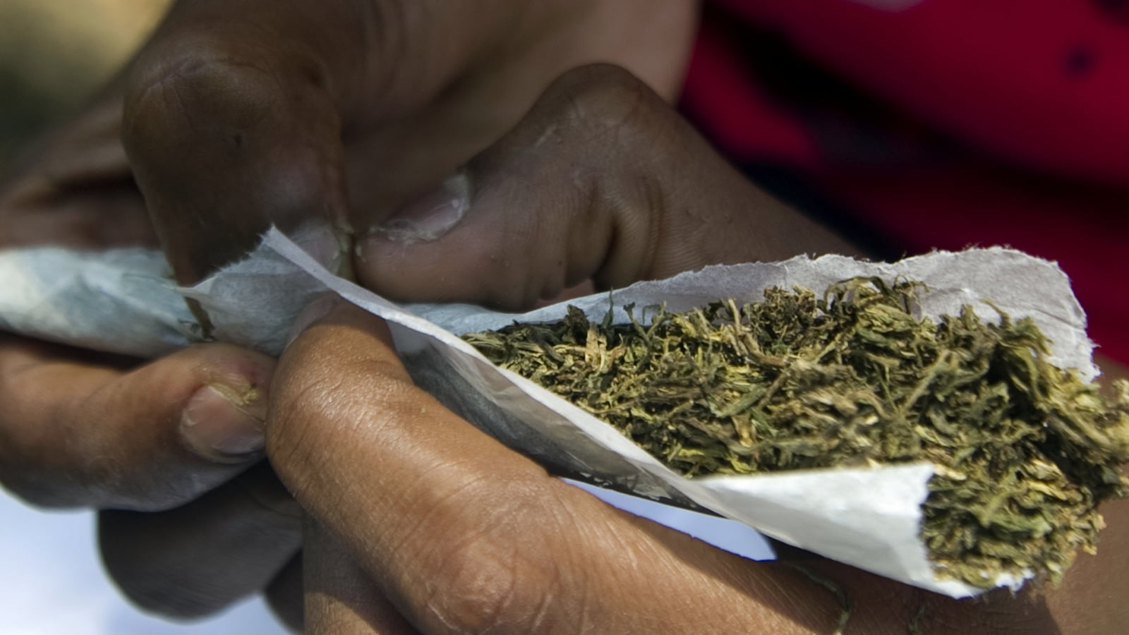 cheats/2014/11/10/nypd-ready-to-stop-pot-arrests/141110-ny-pot-arrests-cheat_ew0in6