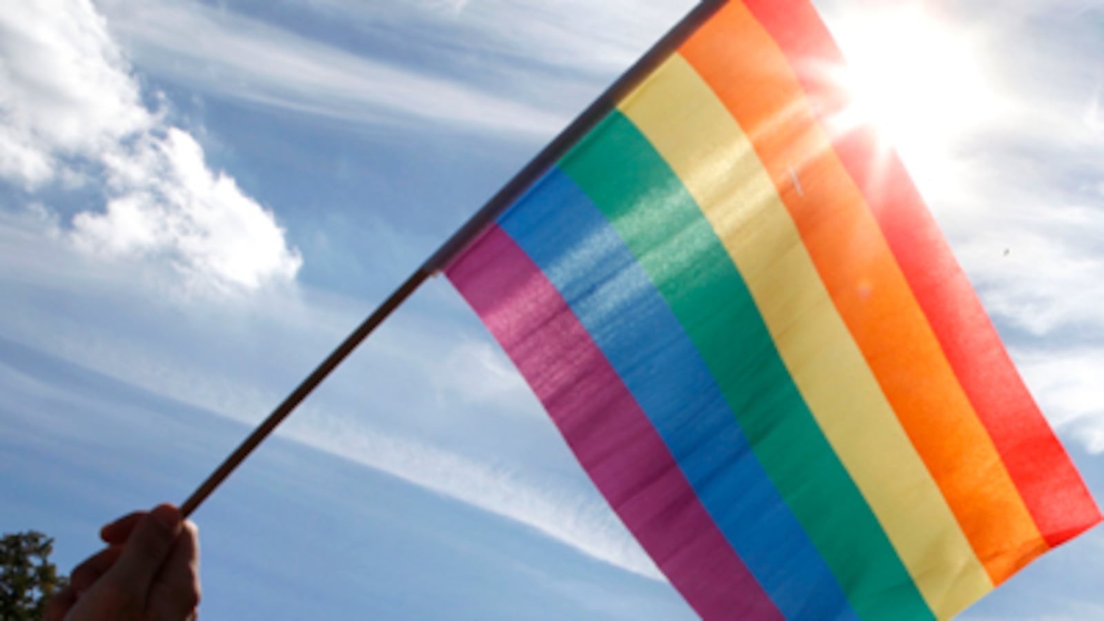 cheats/2010/11/30/pentagon-let-gays-serve/obama-dadt_eiqmiq