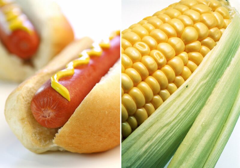 galleries/2011/05/28/shocking-picnic-calorie-equations/picnic-calorie-equations-5_vuviwu