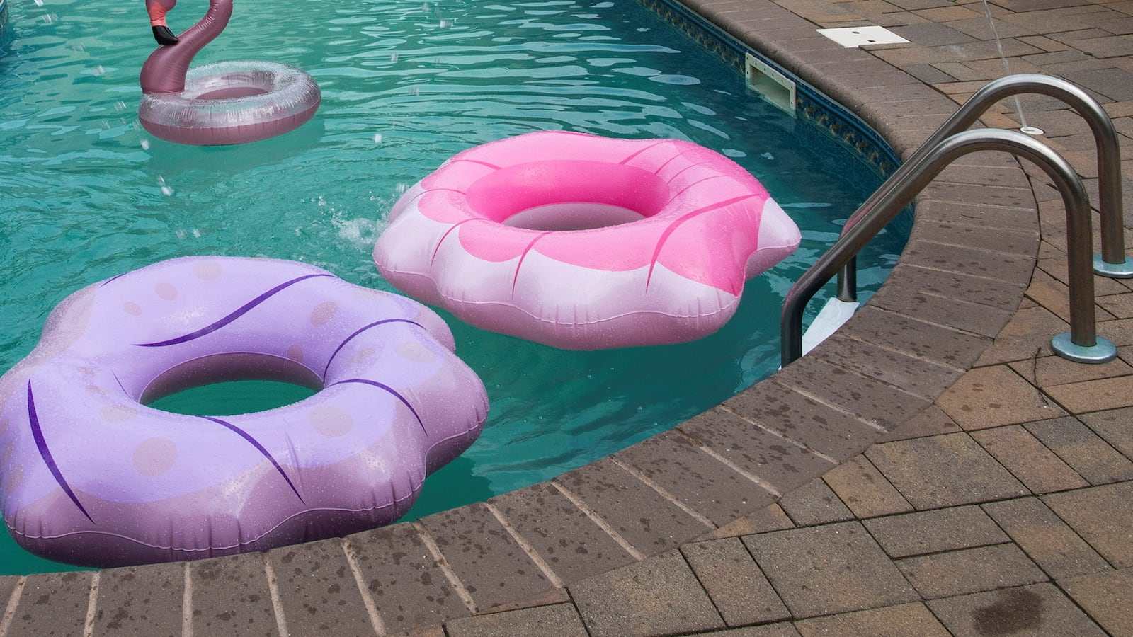 General view of a backyard pool