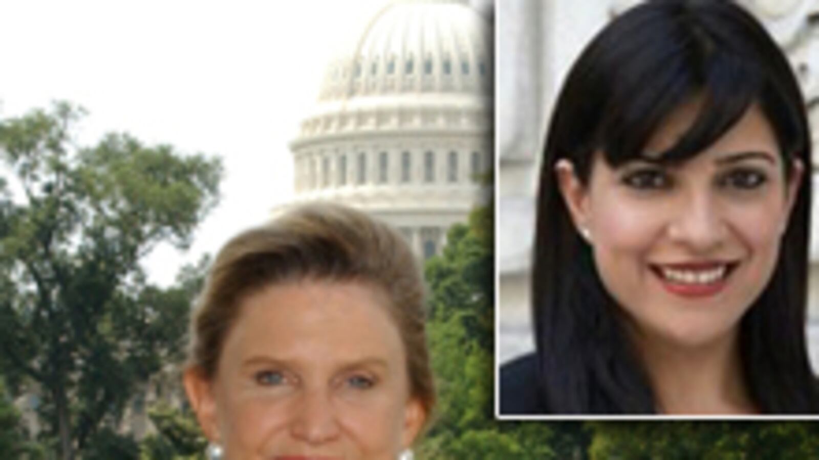 articles/2010/04/18/a-female-civil-war/goldstein-reshma-saujani_94099_fw3kkt