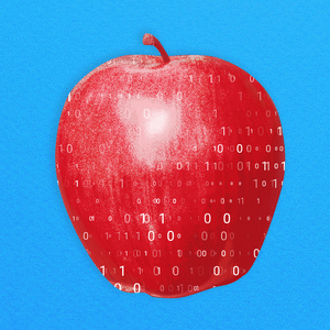 A photo illustration showing a teacher’s apple with scrolling binary code.