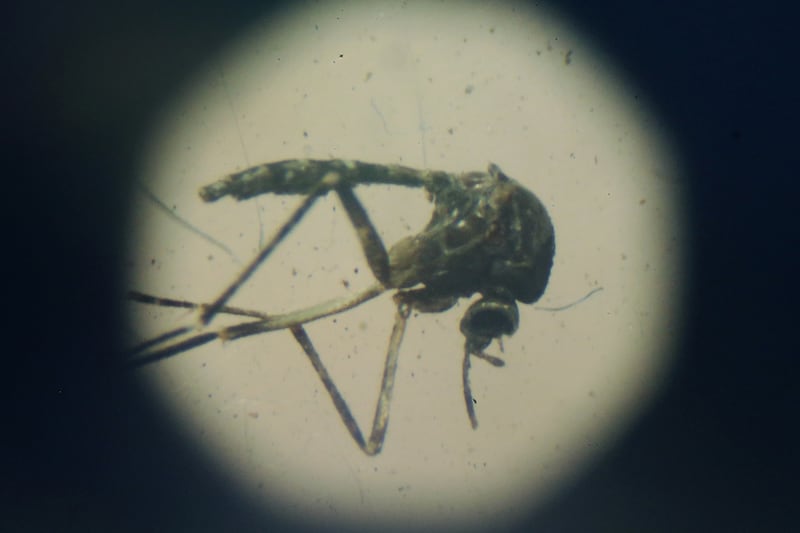 galleries/2016/01/28/striking-photos-of-zika-s-rapid-spread-across-the-americas/160128-zika-06_pehdaj