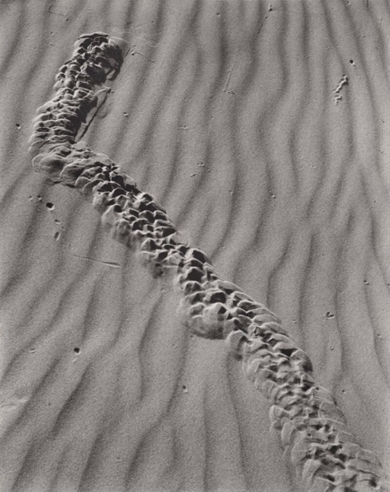 galleries/2011/08/14/modernist-photography-exhibit-boston-mfa-photos/boston-mfa-gallery04_dsgi6a