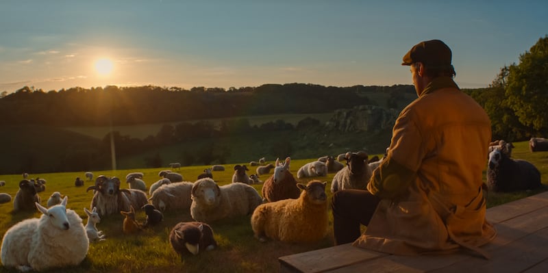 A photo still from 'The Sheep Detectives'