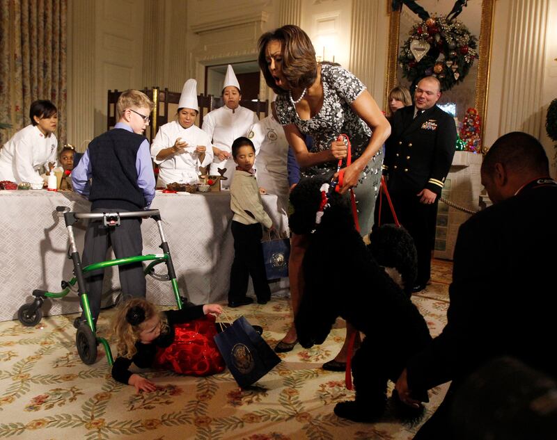 galleries/2013/12/26/the-best-beasts-of-2013-photos/131220-beast-beast-sunny-obama_grjdv8