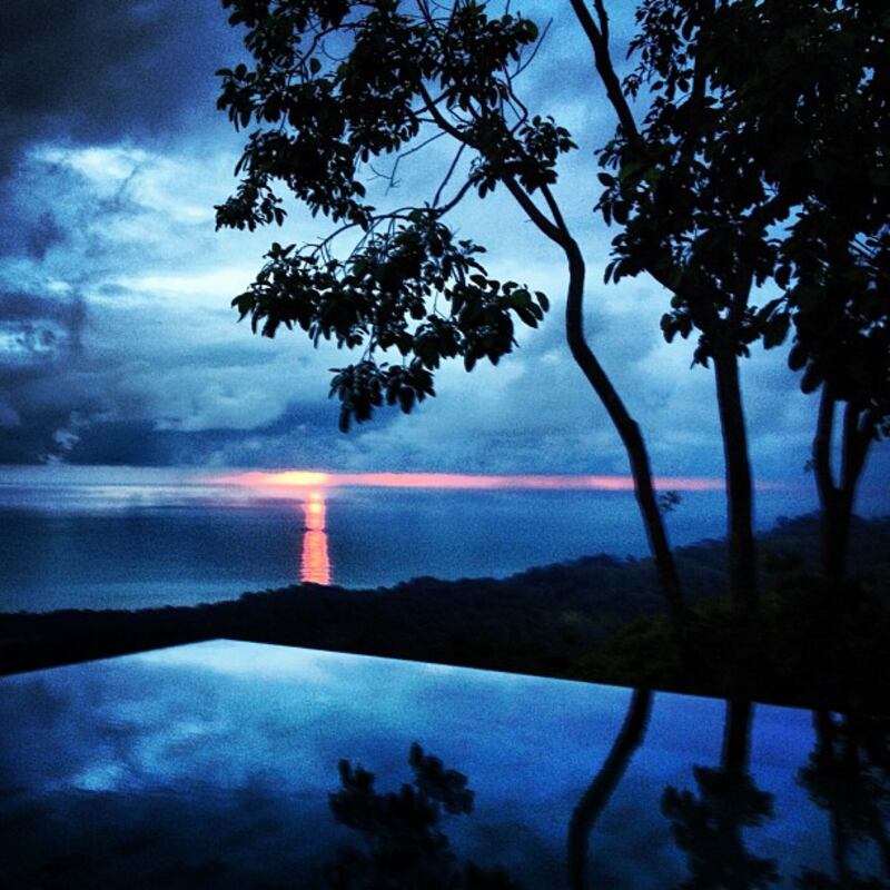 galleries/2012/11/24/rihanna-coco-rocha-more-best-fashion-instagrams-photos/scottschuman_f4epxf