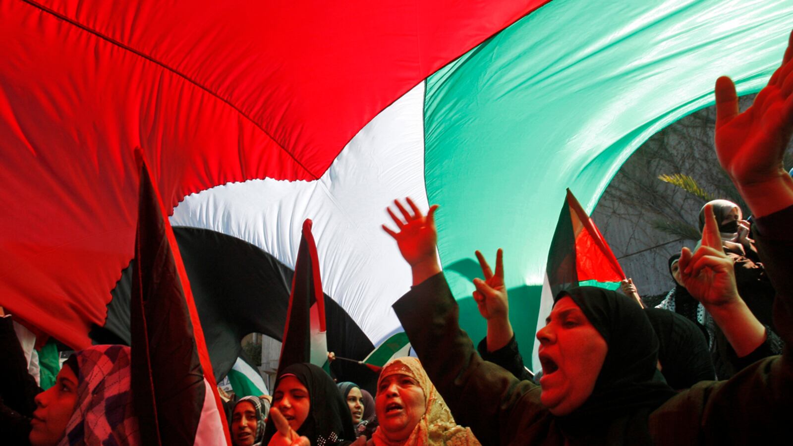 cheats/2011/06/24/israel-palestinians-want-new-talks/palestine-un-vote-cheat_mrs5dh