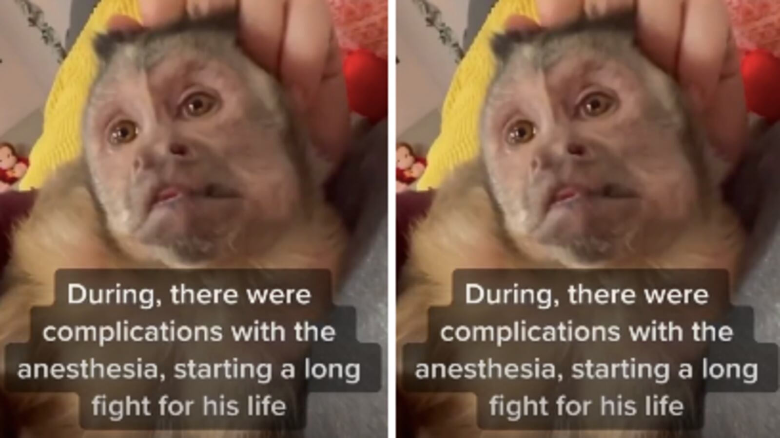 Screen_Shot_2021-06-10_at_10.52.58_AM_enf0io