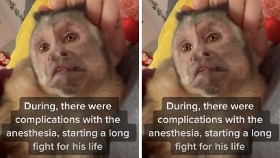 Screen_Shot_2021-06-10_at_10.52.58_AM_enf0io