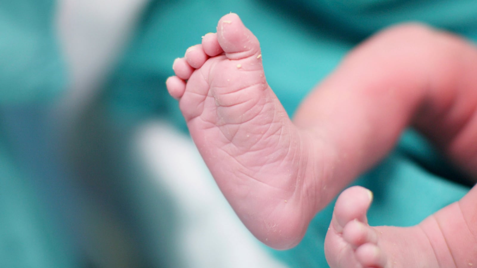 cheats/2014/10/03/first-baby-born-from-womb-transplant/141002-bb-cheat_tukdpy