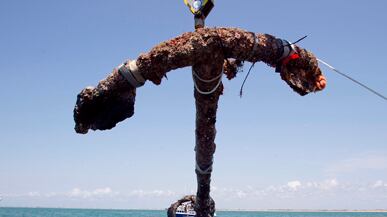 cheats/2011/05/28/blackbeardrsquos-anchor-recovered/blackbeards-anchor_gsd3j6