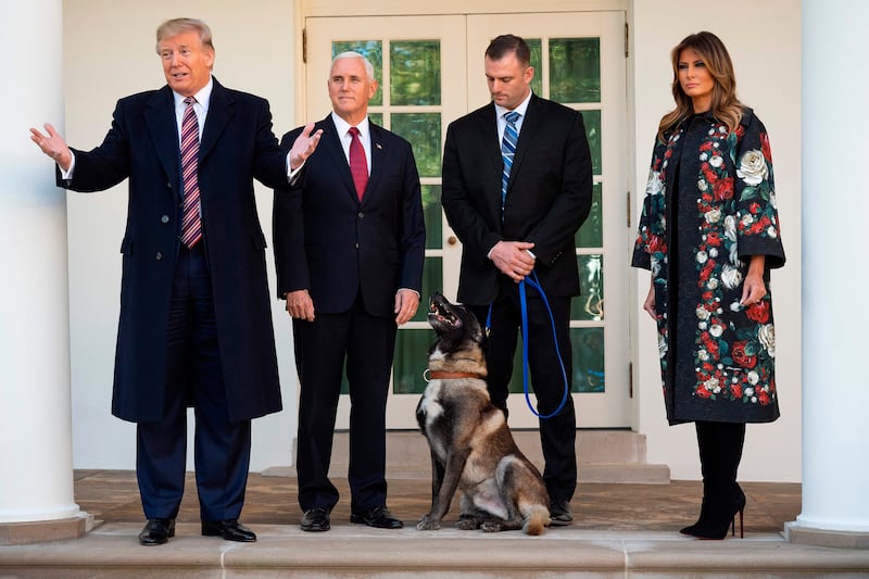 Trump, Mike Pence and First Lady Melania Trump met Conan, the military dog that was involved with the death of ISIS leader Abu Bakr al-Baghdadi, in 2019.