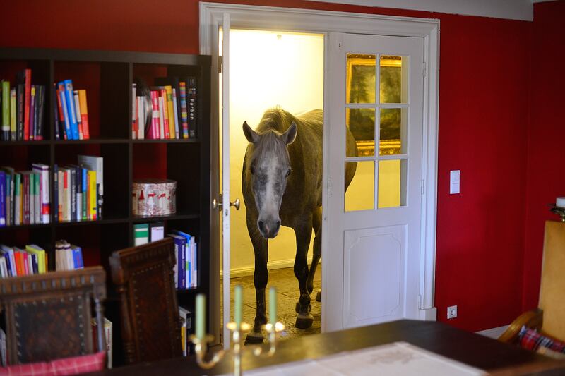 galleries/2014/12/21/the-year-in-photos-2014/141218-photo-year35_vfj3pl