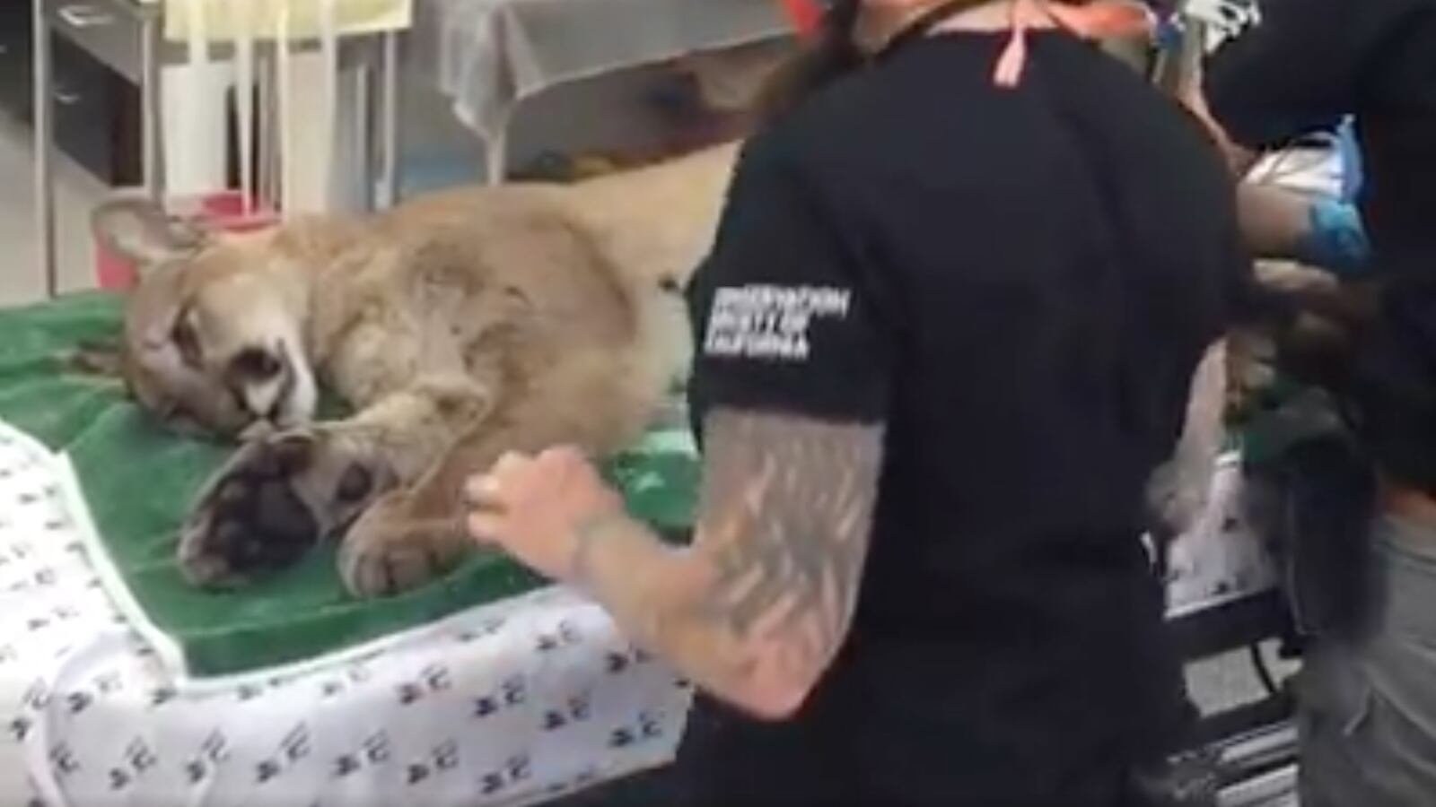 Screen_Shot_2020-06-19_at_4.01.34_PM_mnaw3z