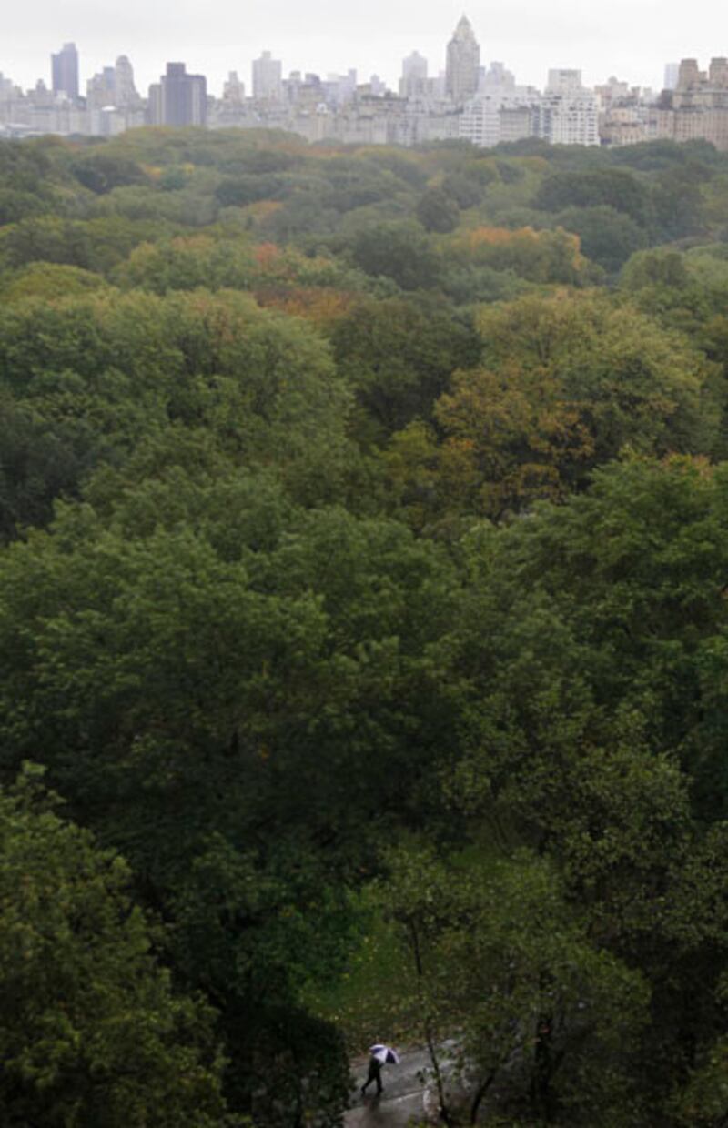 galleries/2012/04/20/america-s-greenest-cities-2012-from-new-york-to-san-francisco/greenest-cities-2-nyc_jylltp