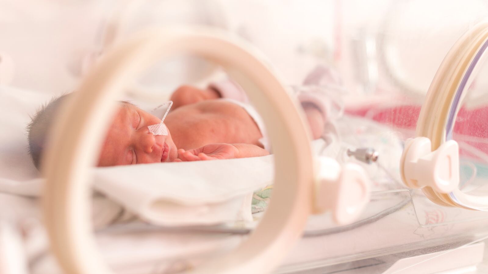 180126-Ronson-preemie-brain-scans-tease_rmb6kp