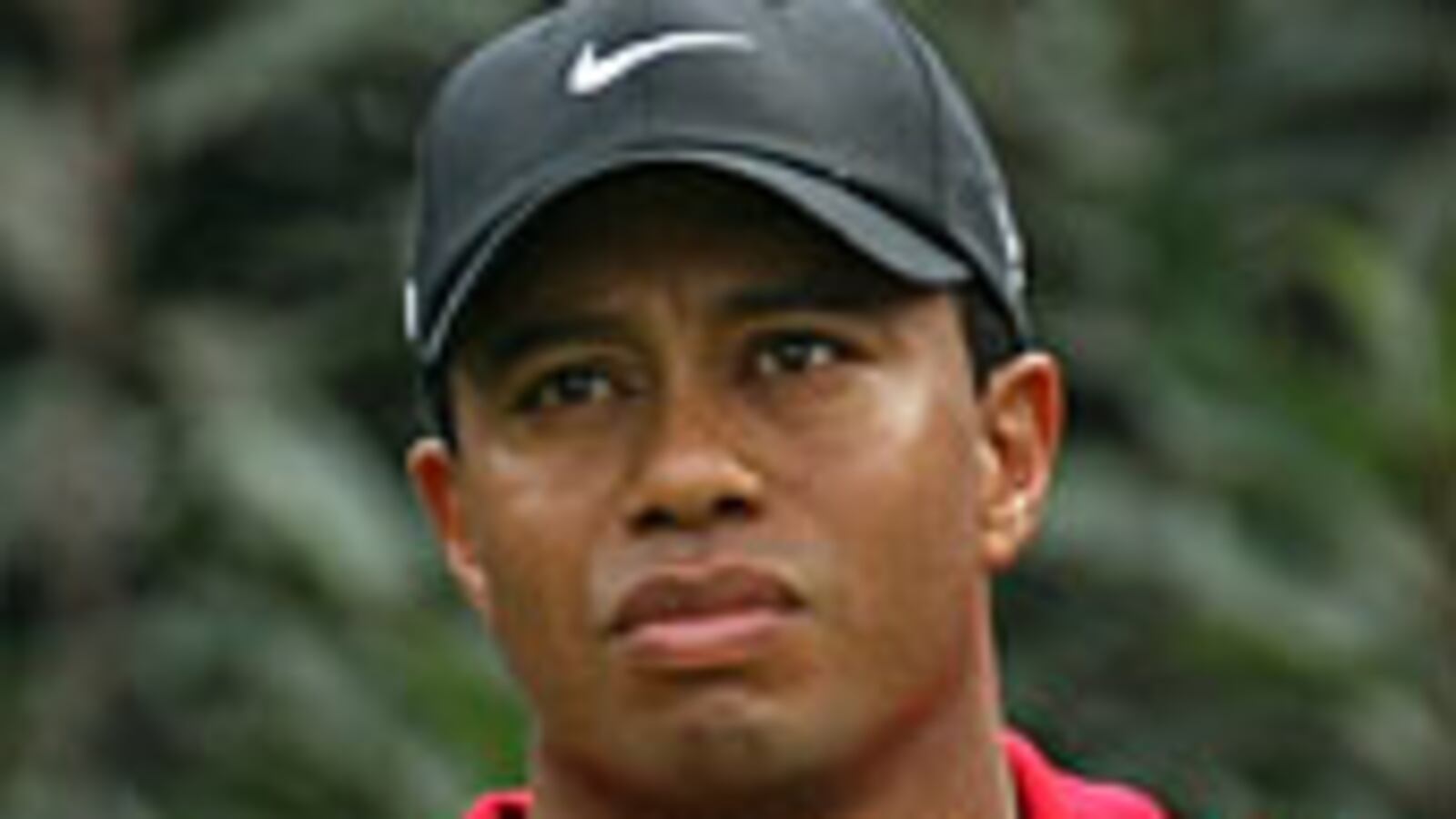 articles/2009/12/18/can-sex-addiction-rehab-save-tiger/ellin-tiger-sex-addiction_70383_dklnit