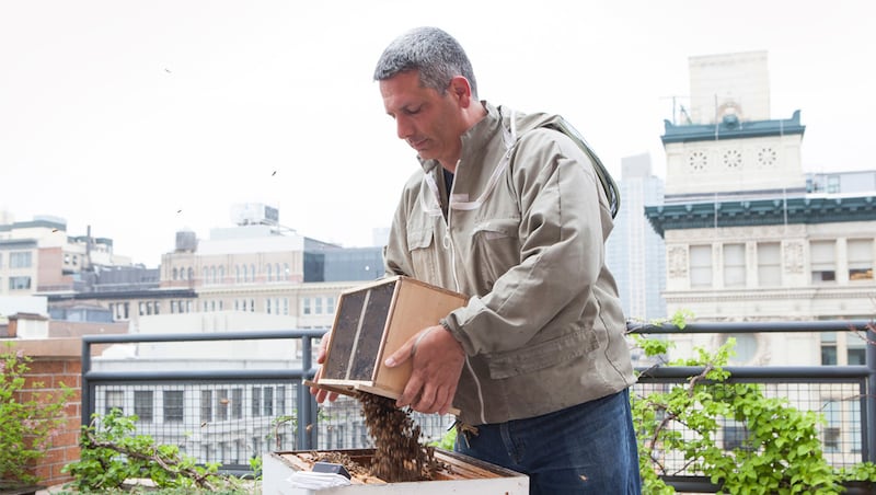 articles/2015/06/01/learning-to-farm-your-own-artisanal-honey-on-the-rooftops-of-new-york/learning-to-farm-your-own-artisanal-honey-on-the-rooftops-of-new-york-body-inlineimage_1_dhs0ig