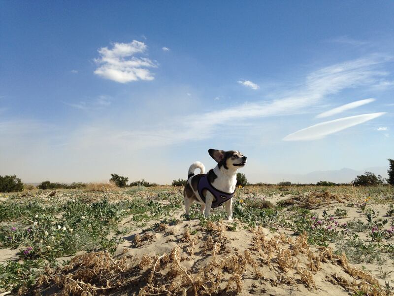 210212-Nguyen-Vday-Getaway-embed2_dmp3a3