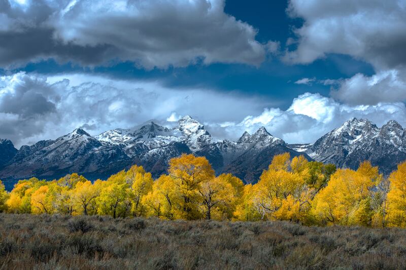 galleries/2015/12/04/scenes-from-wild-yellowstone-photos/151203-wild-yellowstone3_nfcjci