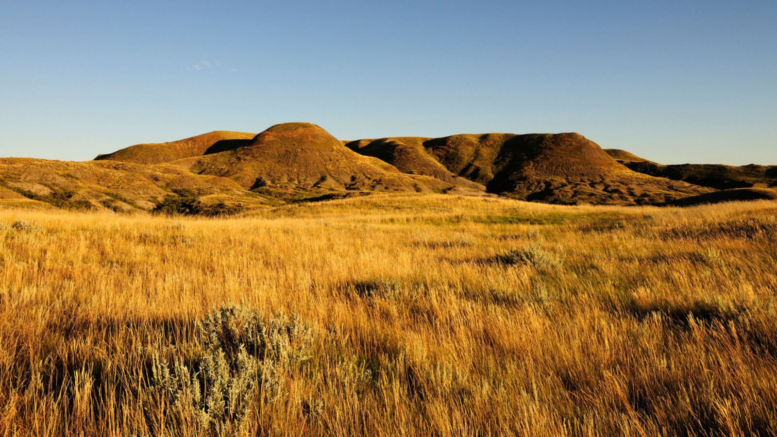 191020-patterson-grasslands-national-park-hero_hog9nh