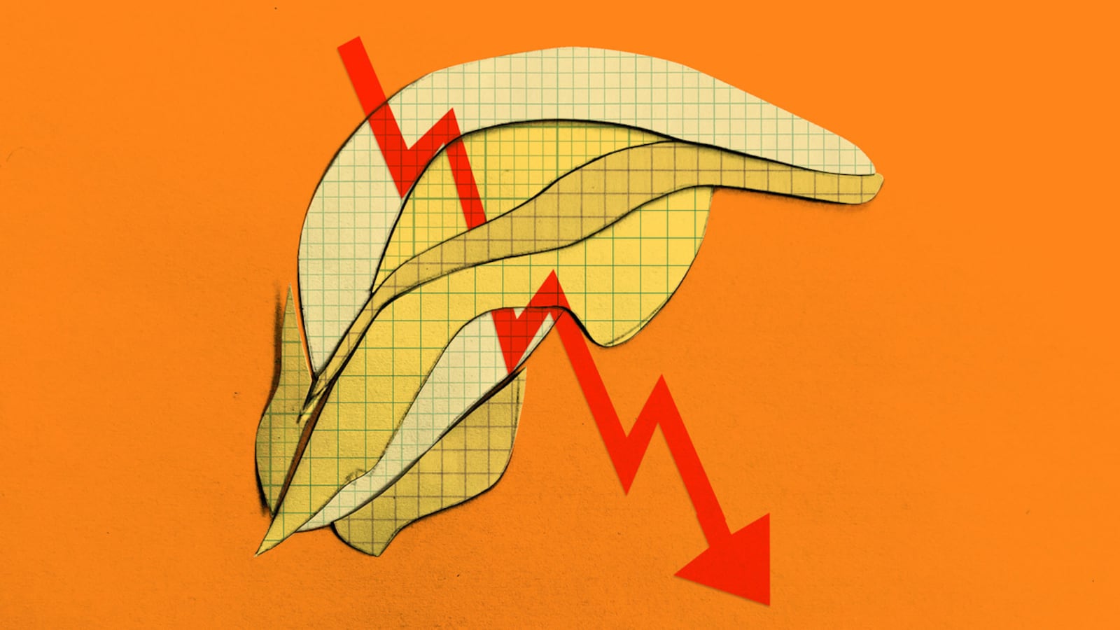 230518-trump-debt-limit-hero1_rp6c3o