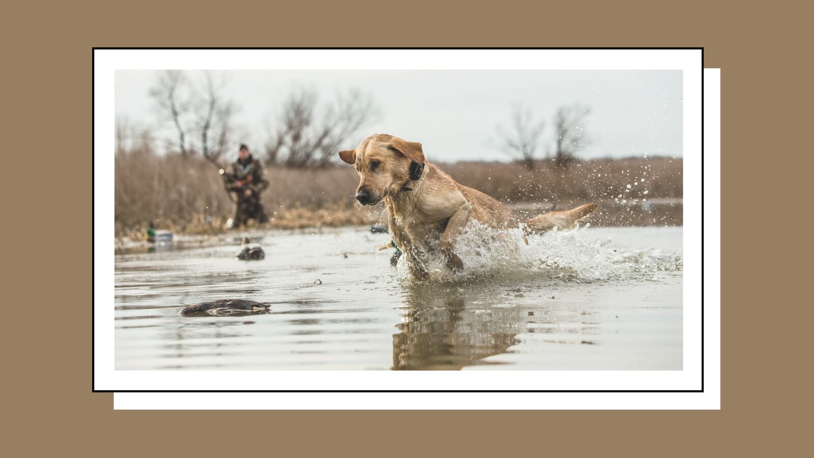 BassProShop_images.001_adwmhn