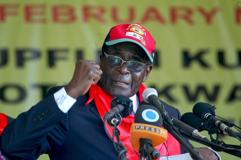 galleries/2012/06/14/a-black-thing-the-likes-and-dislikes-of-radical-congressional-candidate-charles-barron-photos/charles-barorn-mugabe_mcavc2