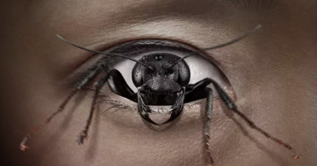 ‘Control Freak’ Gives us the Most Disturbing Horror Scene of the Year