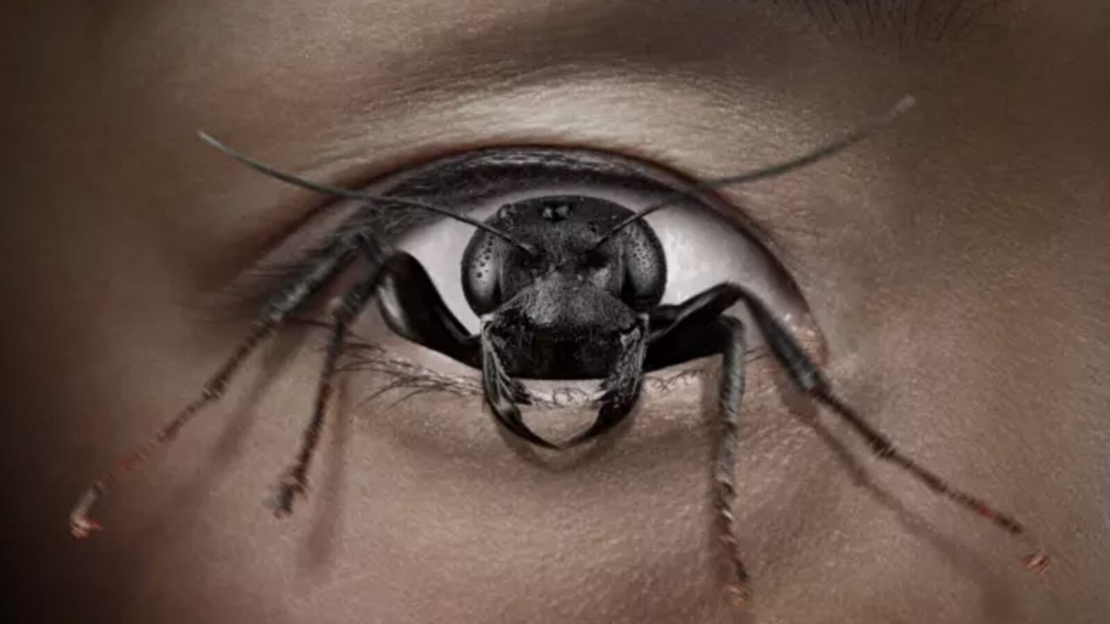 Promo material for 'Control Freak'