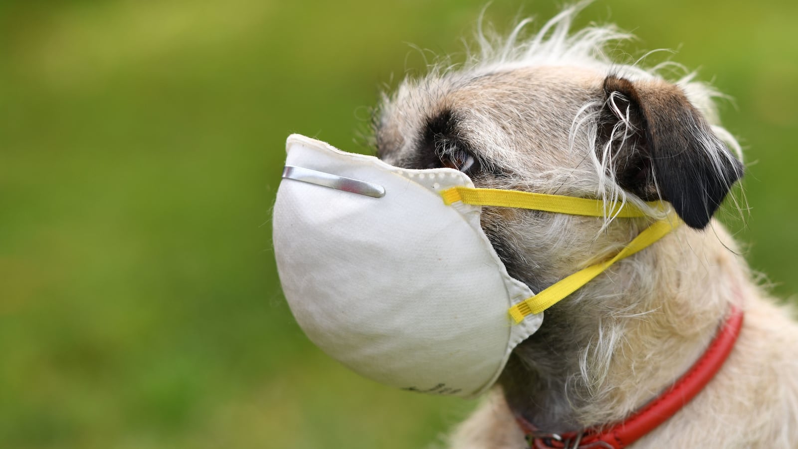 GettyImages-1209322603_reqqut