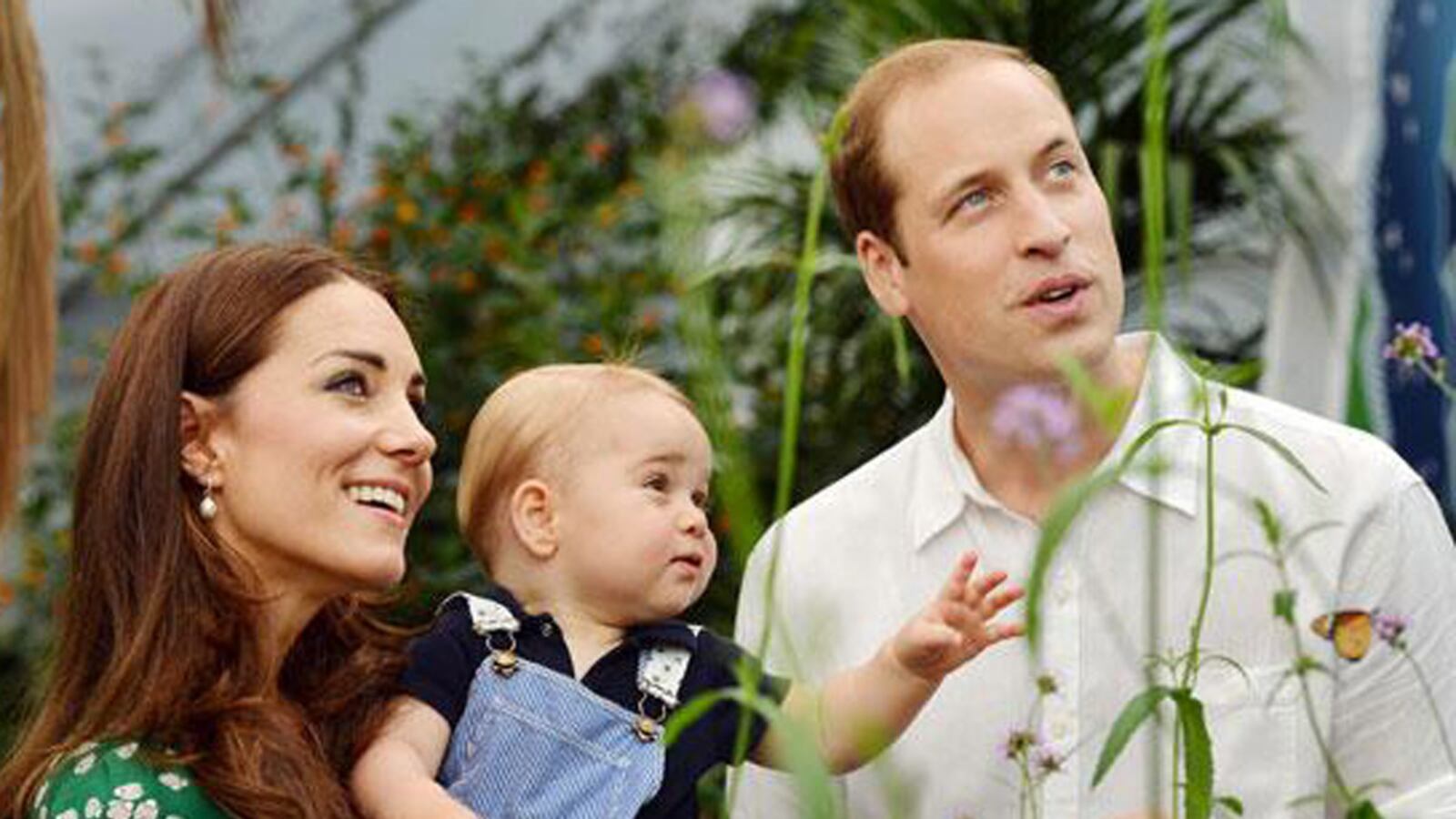 articles/2014/07/22/prince-george-s-first-year-bodes-well-for-the-survival-of-the-royals/butterflies1_pmcc0m