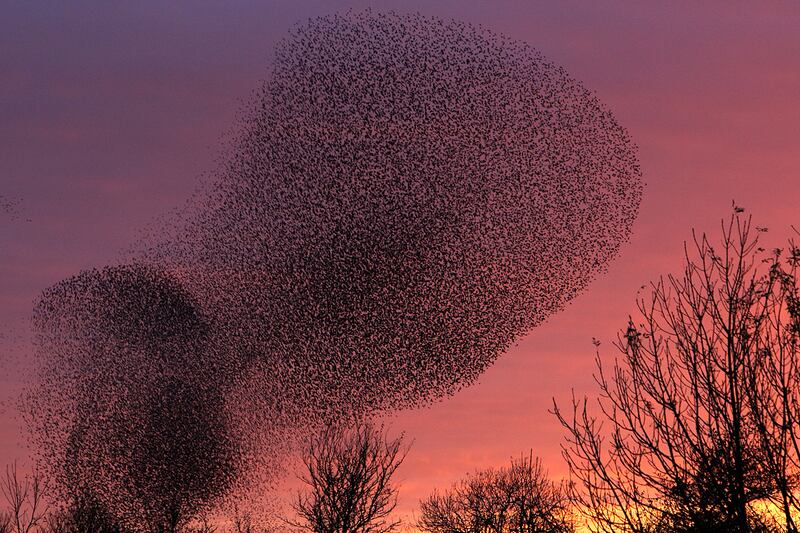 galleries/2011/10/27/photo-of-the-day/photo-of-the-day-111104-2_ltnfhb