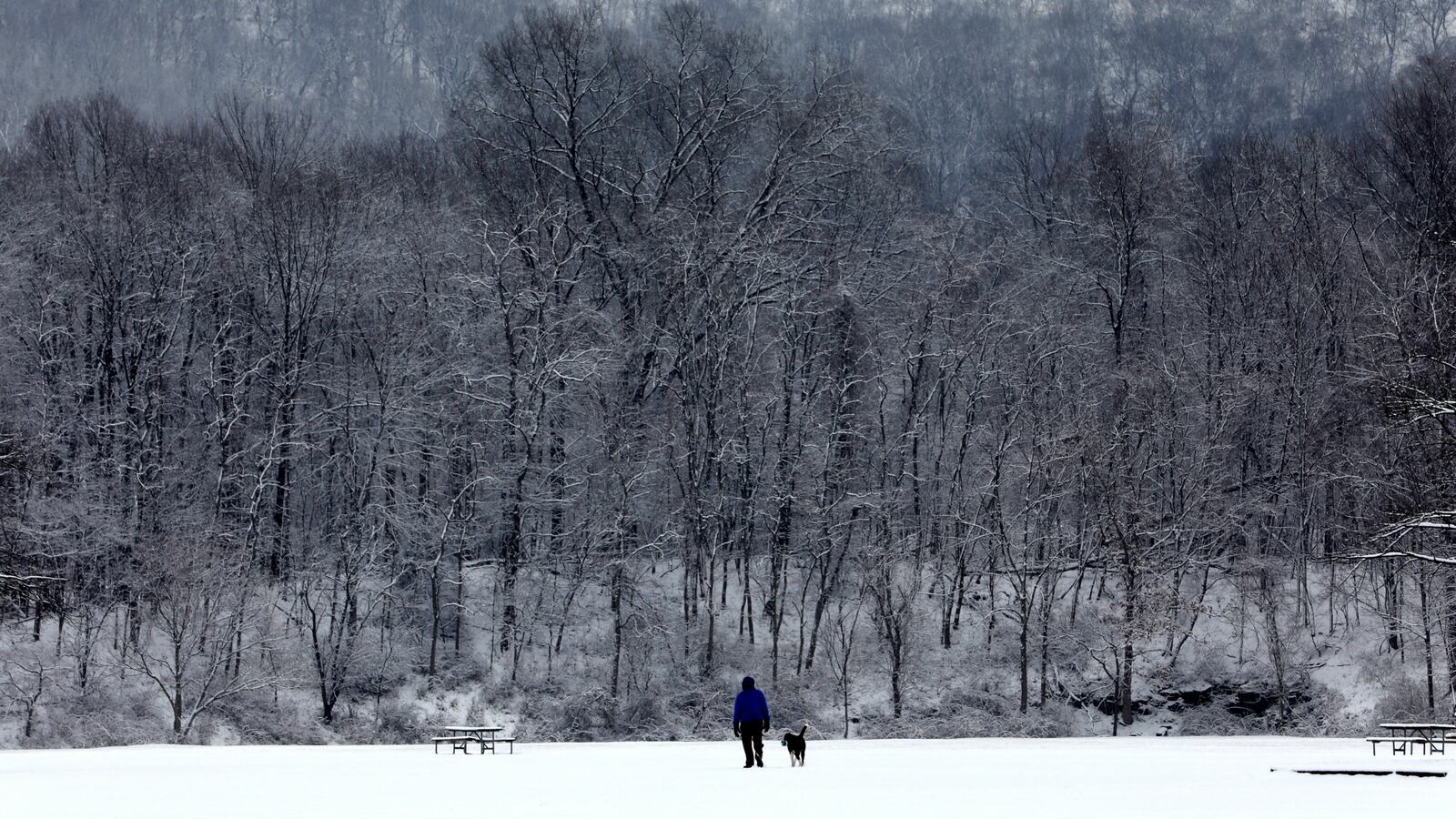 180117-deep-freeze-deaths-south-cheat_nv8hwc